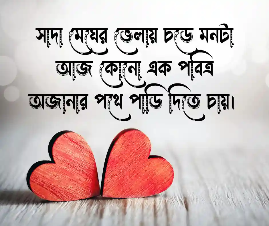 সাদা শুভ্রতা নিয়ে ক্যাপশন