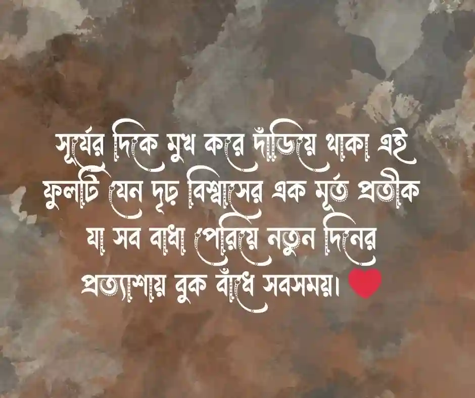 সূর্যমুখী ফুল নিয়ে ক্যাপশন