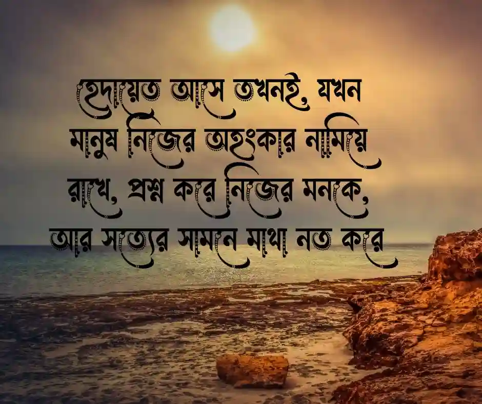 হেদায়েত নিয়ে উক্তি