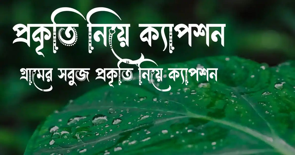 প্রকৃতি নিয়ে ক্যাপশন - গ্রামের সবুজ প্রকৃতি নিয়ে ক্যাপশন