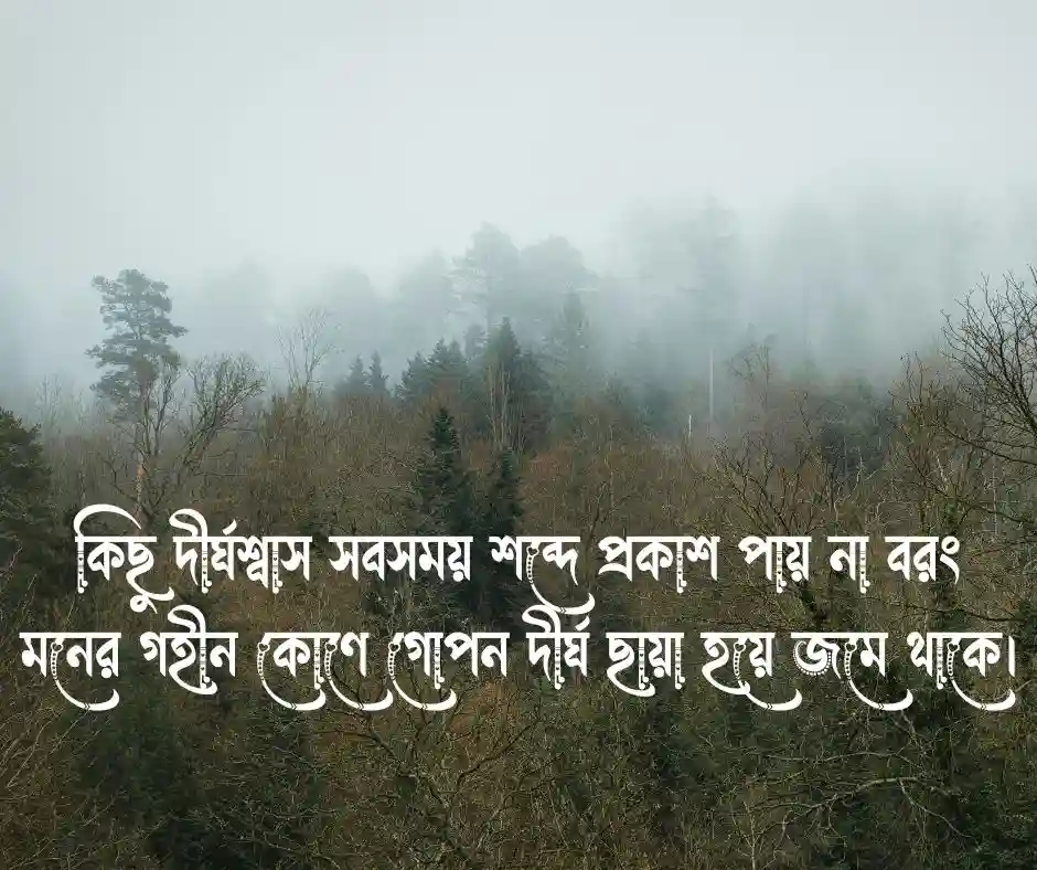 ফেসবুক স্ট্যাটাস Bangla Facebook Status