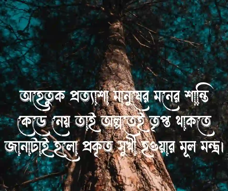 বাংলা শর্ট ক্যাপশন ২০২৬