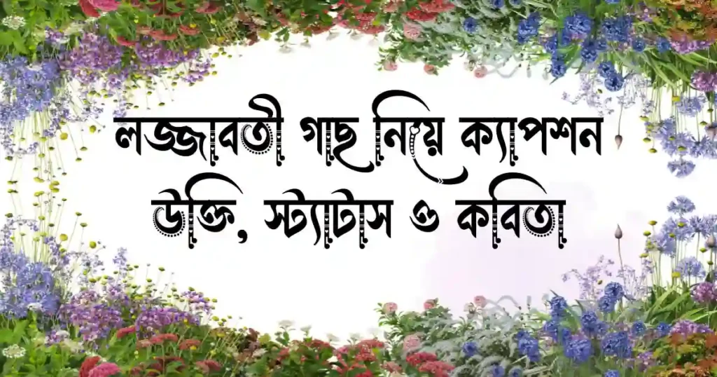 লজ্জাবতী গাছ নিয়ে ক্যাপশন, উক্তি, স্ট্যাটাস ও কবিতা