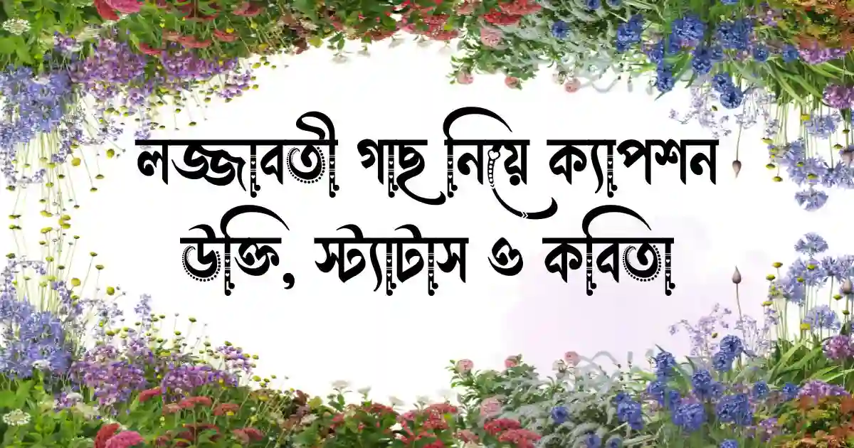 লজ্জাবতী গাছ নিয়ে ক্যাপশন, উক্তি, স্ট্যাটাস ও কবিতা