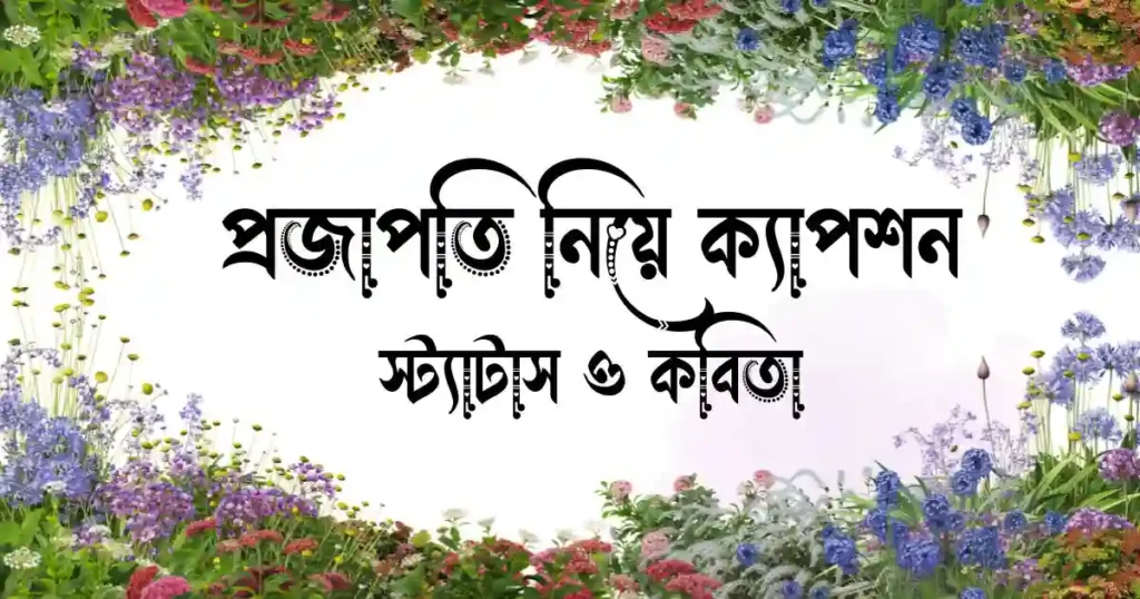 ১৫০+ প্রজাপতি নিয়ে ক্যাপশন, স্ট্যাটাস ও কবিতা