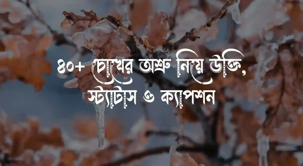 ৪০+ চোখের অশ্রু নিয়ে উক্তি, স্ট্যাটাস ও ক্যাপশন