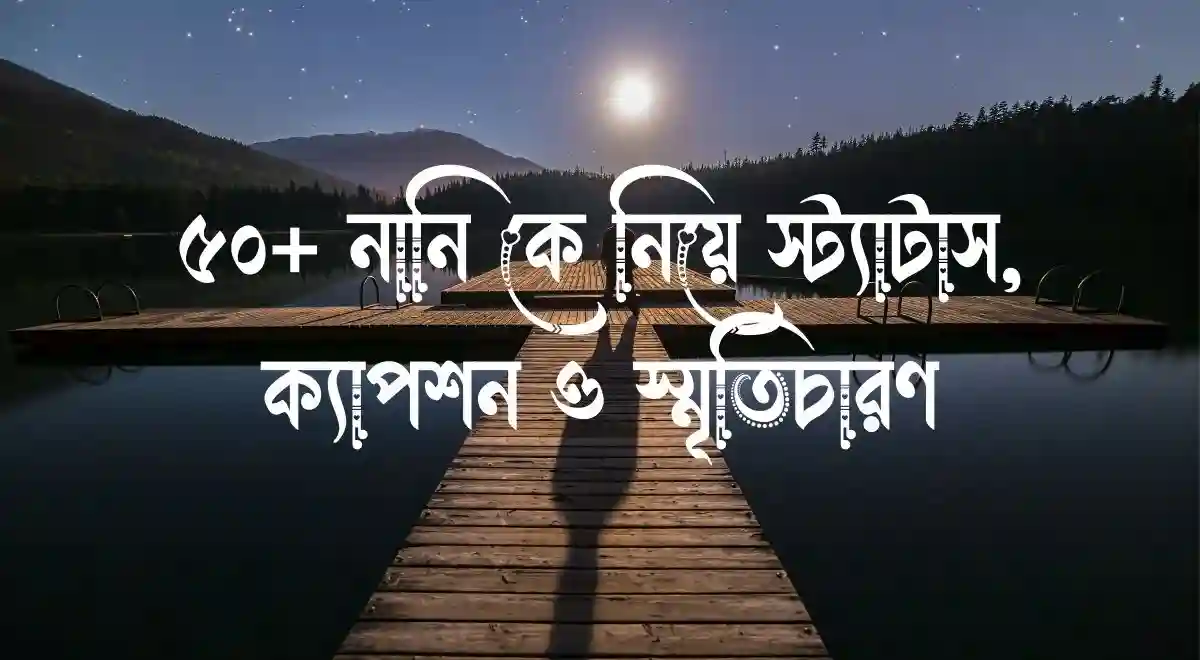 ৫০+ নানি কে নিয়ে স্ট্যাটাস, ক্যাপশন ও স্মৃতিচারণ