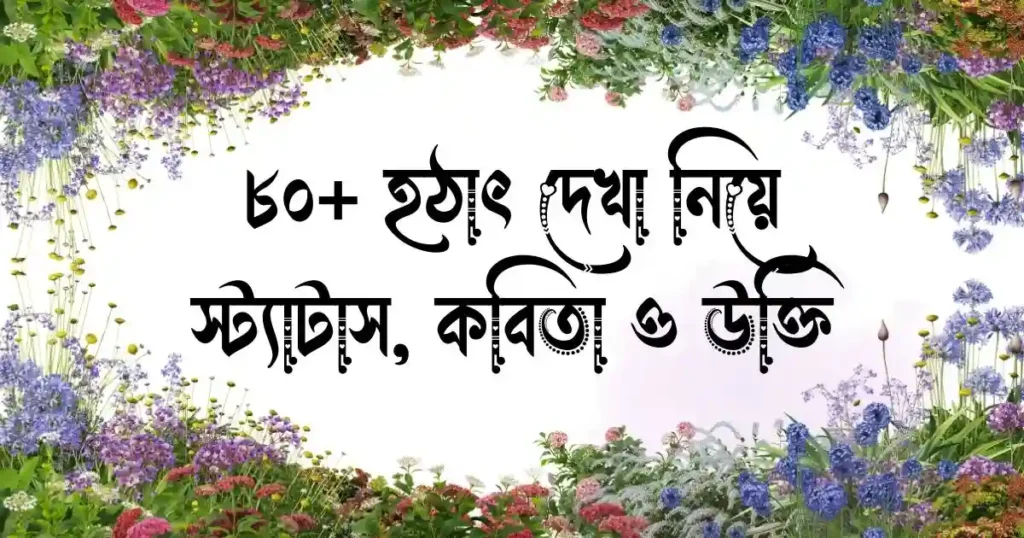 _৮০+ হঠাৎ দেখা নিয়ে স্ট্যাটাস, কবিতা ও উক্তিক্যাপশন