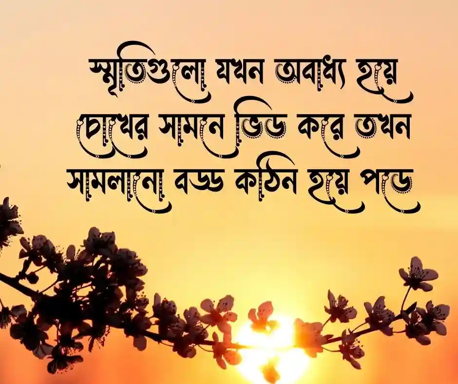অনুভূতি স্ট্যাটাস Status on Feelings
