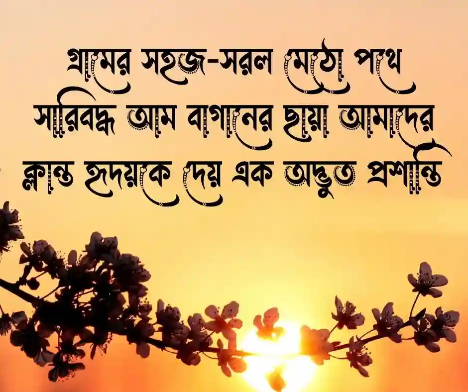 আম ক্যাপশন