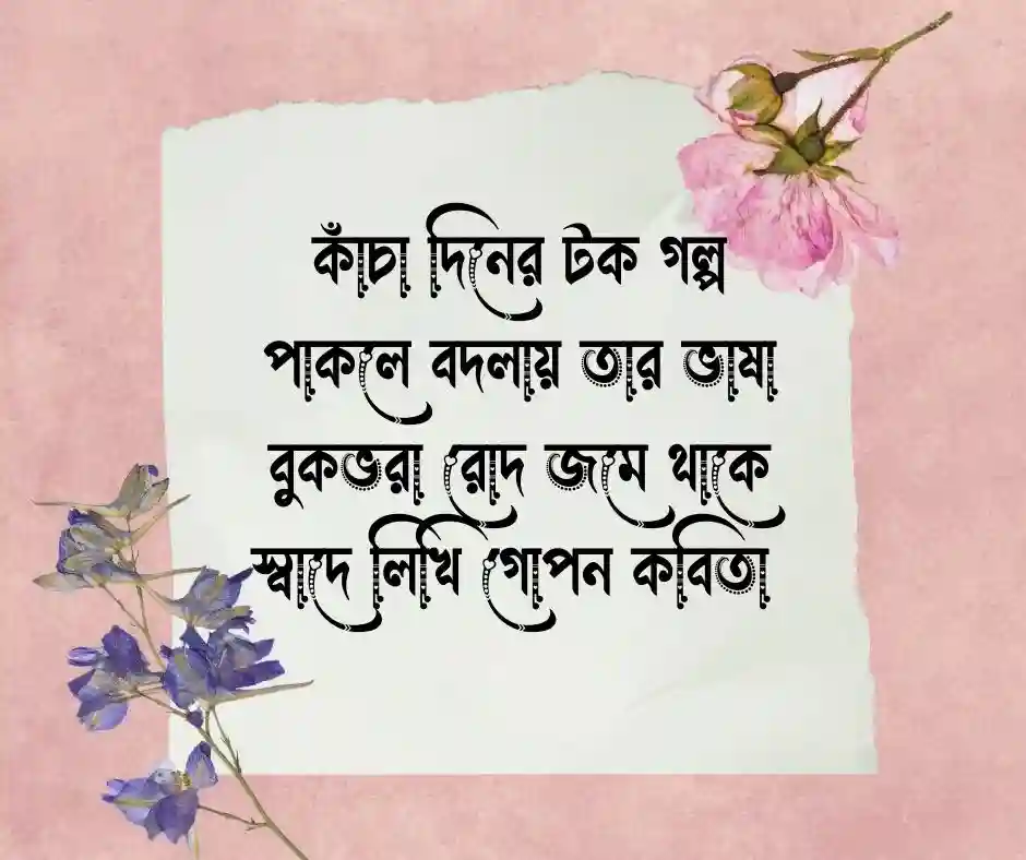 আম নিয়ে ছন্দ