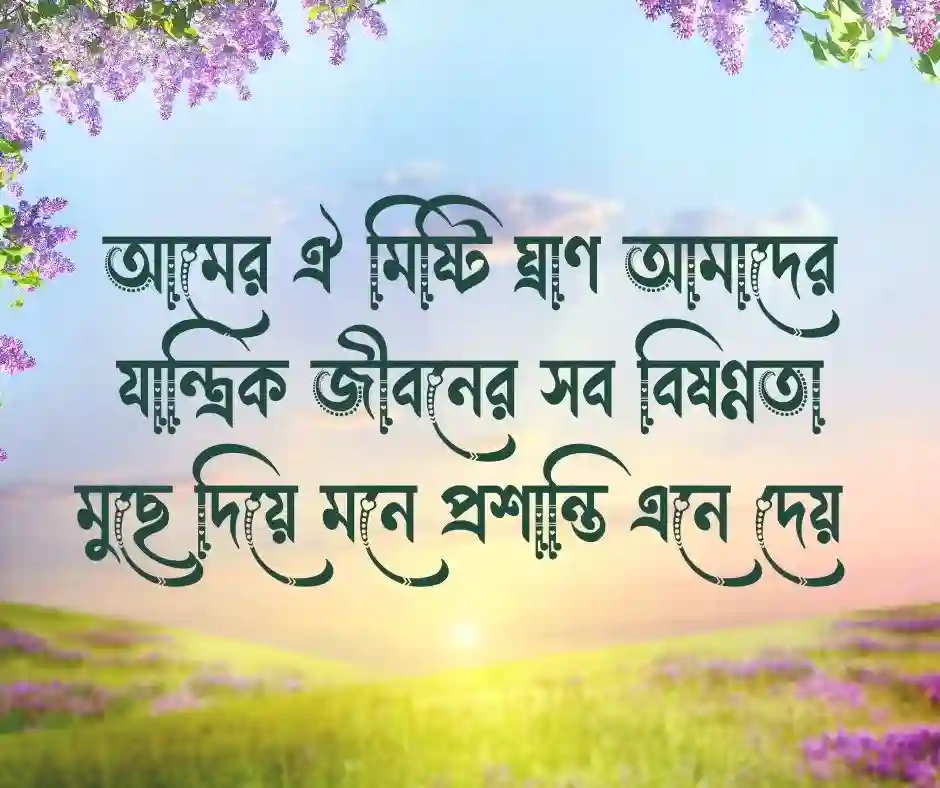 আম নিয়ে ফানি পোস্ট