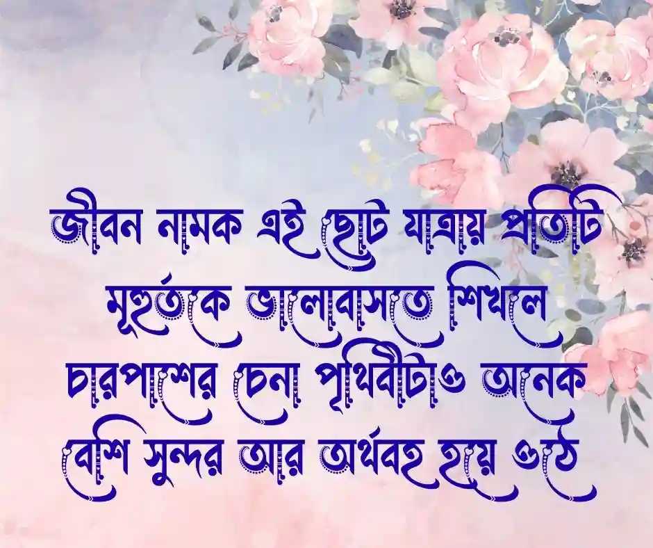 ইতিবাচক অনুভূতি নিয়ে উক্তি