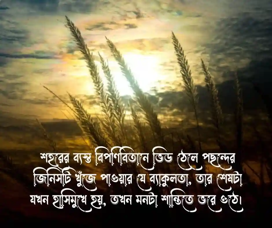 ঈদে কেনাকাটা করে খুশির স্ট্যাটাস