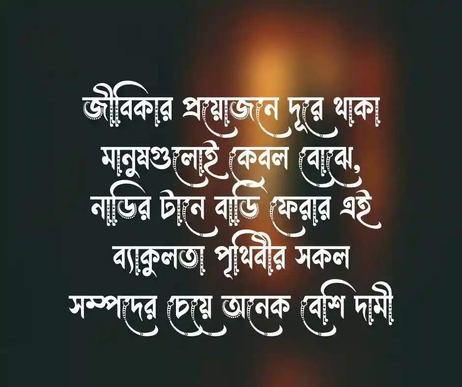 ঈদে বাড়ি যাওয়ার খুশির স্ট্যাটাস (1)