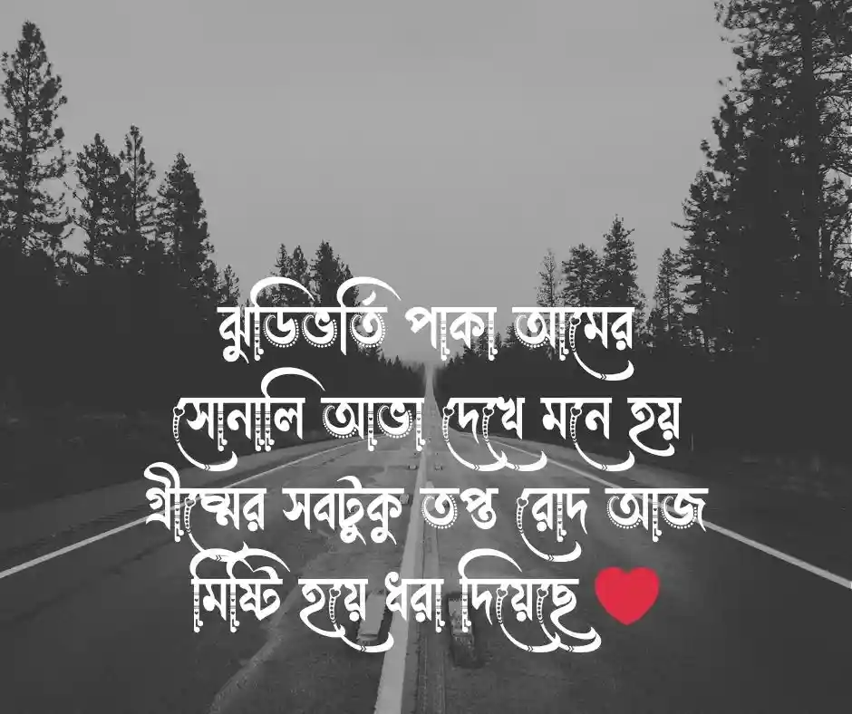 কাঁচা আম নিয়ে ক্যাপশন
