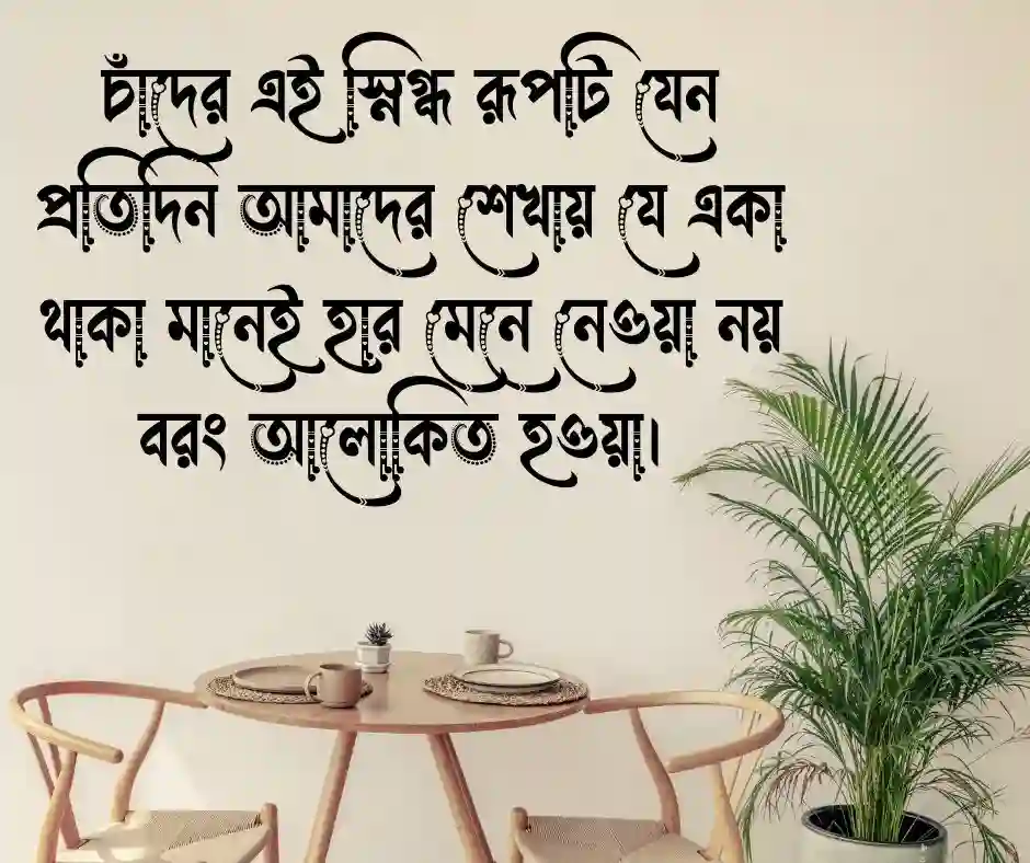 চাঁদের পিকচার