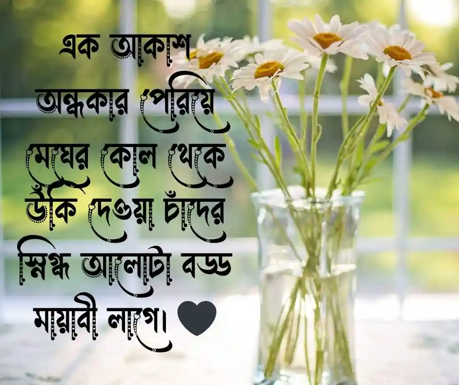 চাঁদ নিয়ে ক্যাপশন চাঁদ নিয়ে স্ট্যাটাস