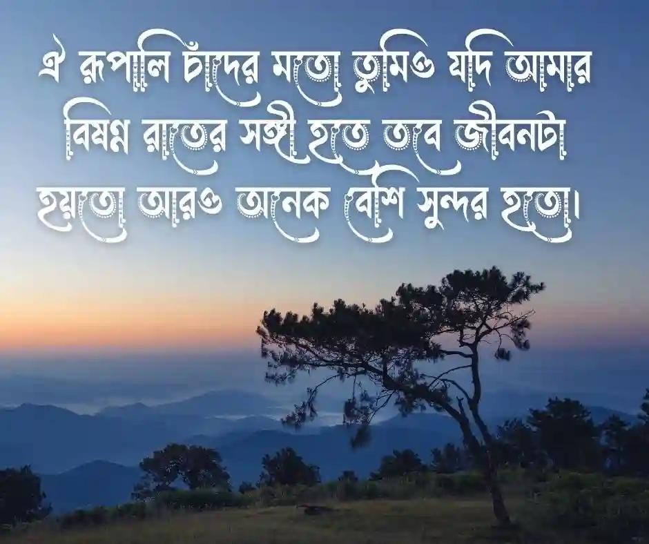 চাঁদ নিয়ে ক্যাপশন .