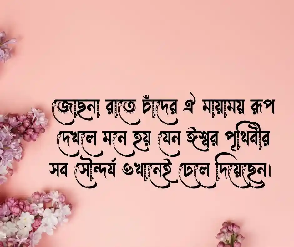 চাঁদ নিয়ে ক্যাপশন