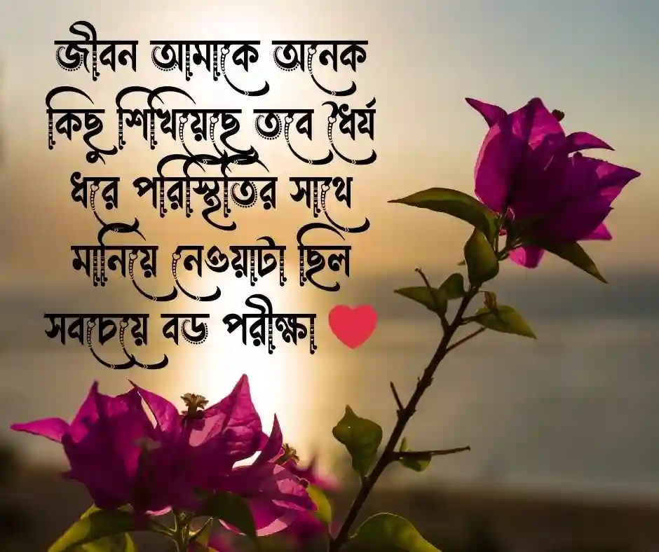 নিজের অনুভূতি নিয়ে ক্যাপশন নিজের অনুভূতি নিয়ে স্ট্যাটাস