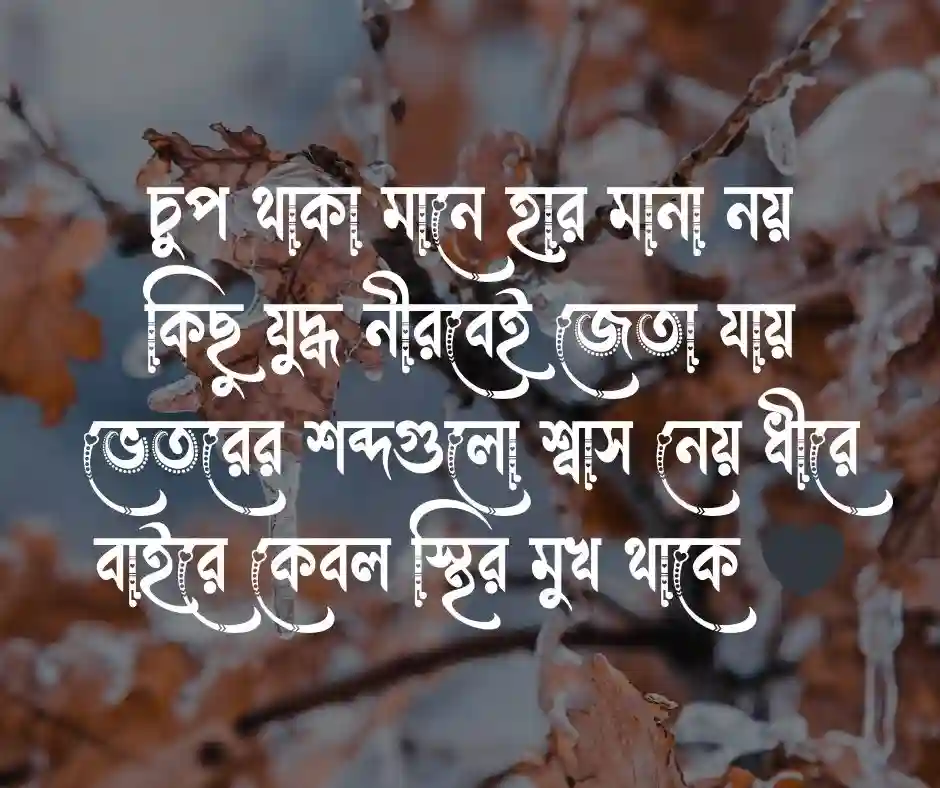 নীরবতা নিয়ে কবিতা