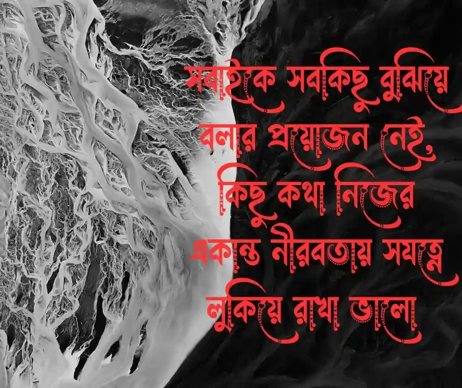 নীরবতা নিয়ে স্ট্যাটাস