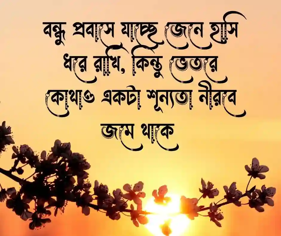 প্রবাসী বন্ধুকে বিদায় নিয়ে স্ট্যাটাস