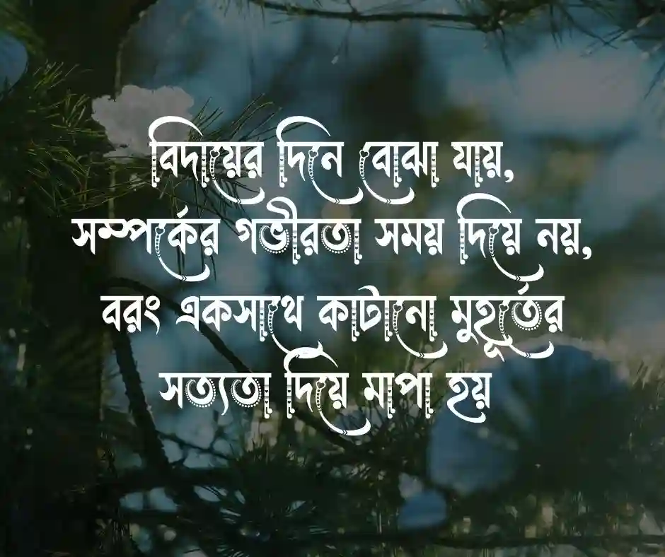 বিদায় নিয়ে কিছু কথা