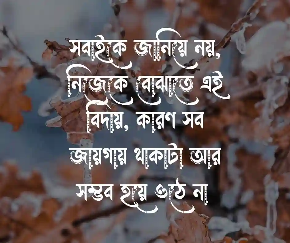 বিদায় ফেসবুক স্ট্যাটাস