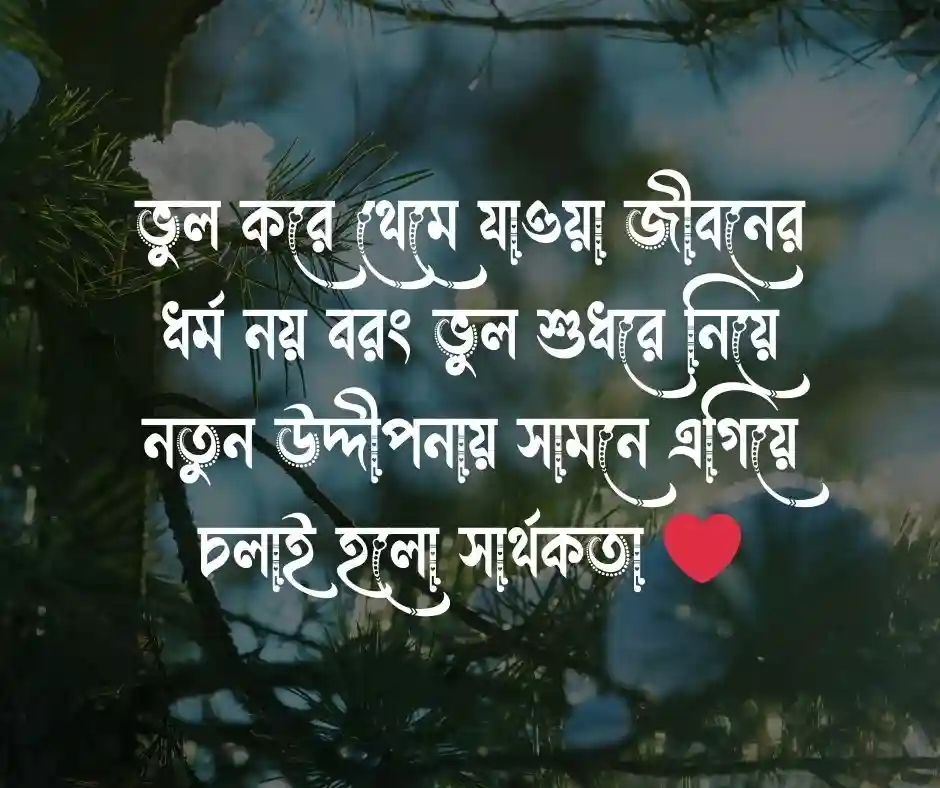 ভুল নিয়ে কিছু কথা
