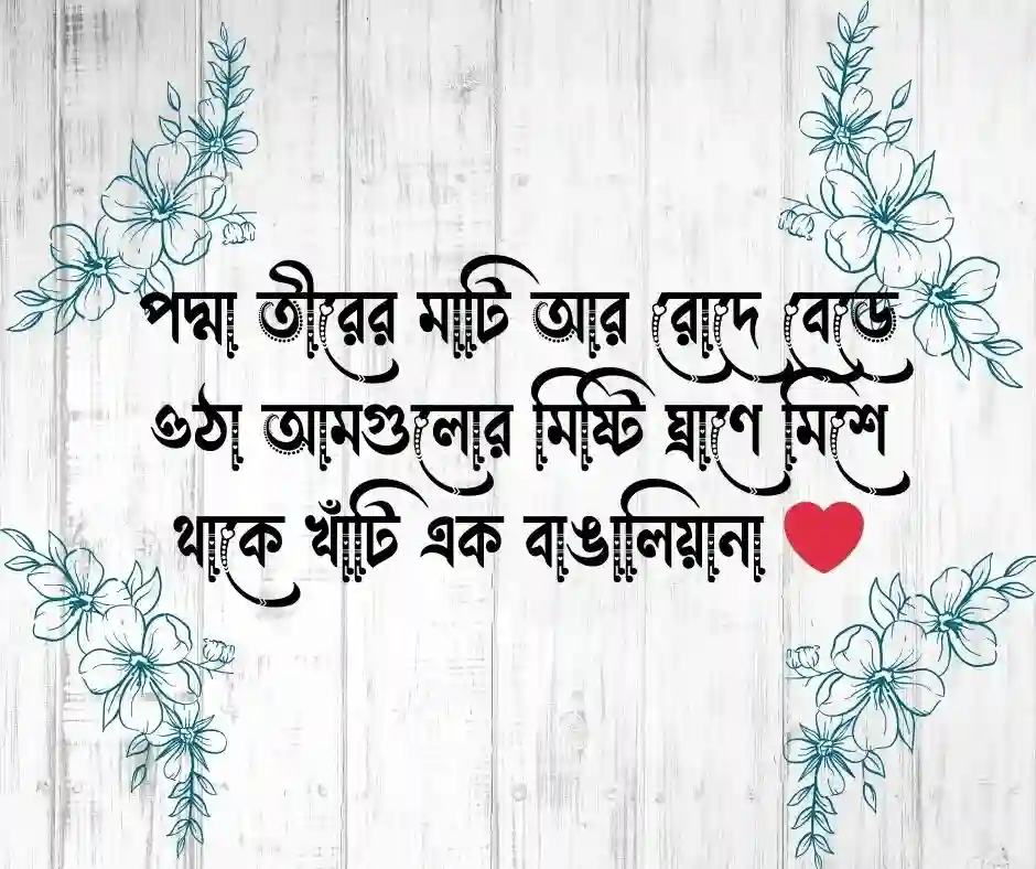 রাজশাহীর আম নিয়ে কিছু কথা