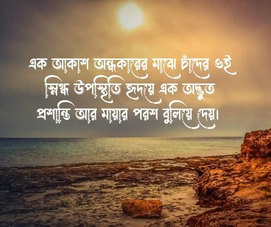 রাতের চাঁদ নিয়ে ক্যাপশন