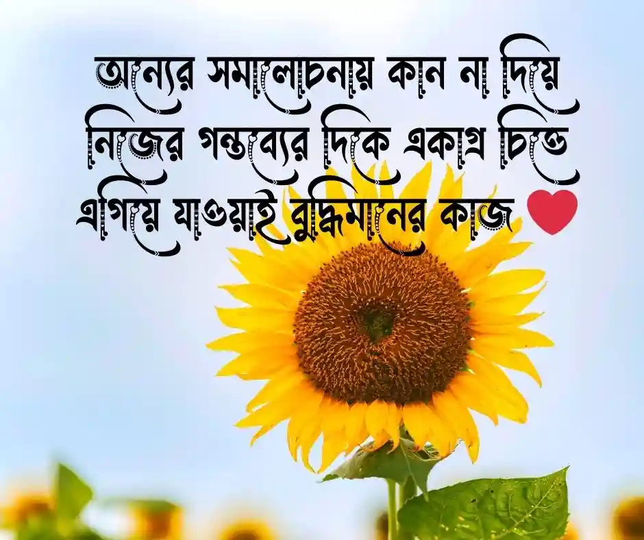 শিক্ষনীয় স্ট্যাটাস বাংলা.