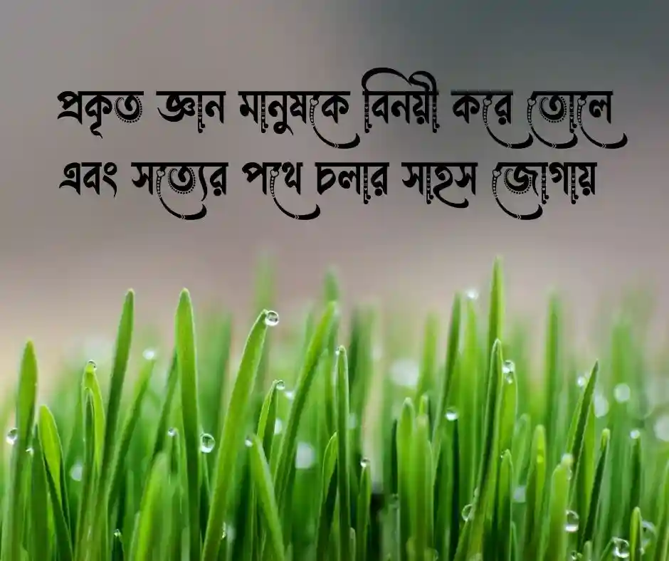 শিক্ষামূলক উক্তি.