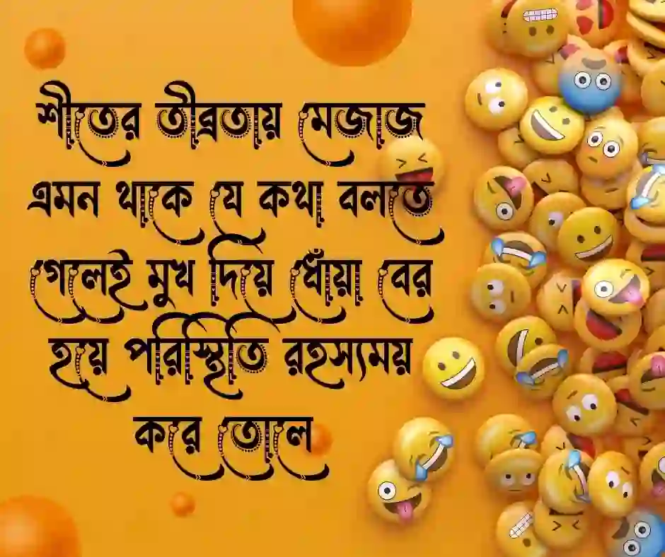 শীত নিয়ে ফানি ক্যাপশন