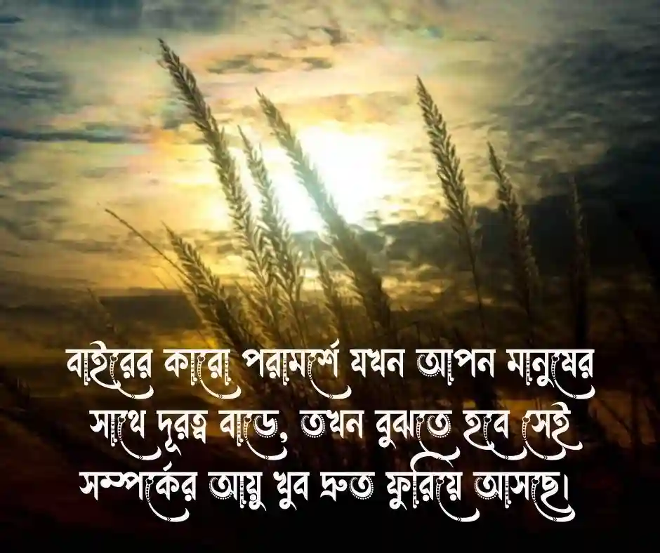 সম্পর্কে তৃতীয় ব্যক্তি নিয়ে উক্তি (1)