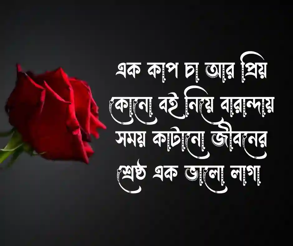 সুন্দর অনুভূতি নিয়ে ক্যাপশন