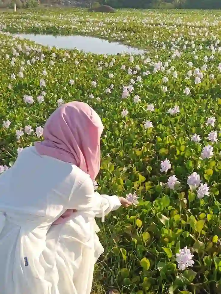 সুন্দর প্রোফাইল পিকচার মেয়েদের