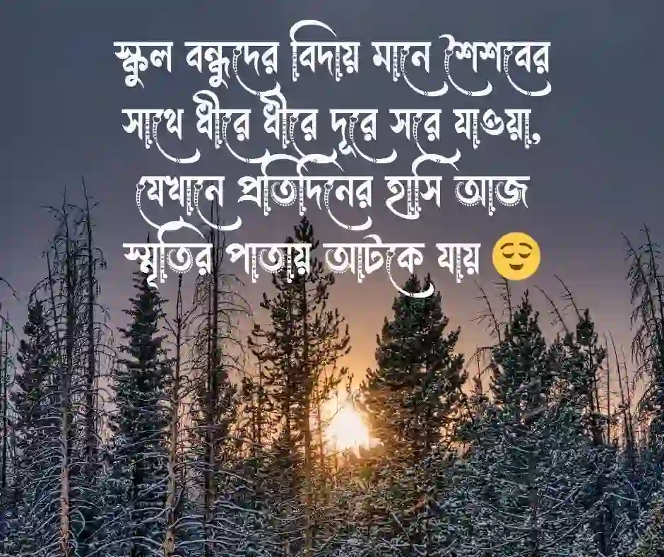 স্কুল বন্ধুদের বিদায় নিয়ে স্ট্যাটাস