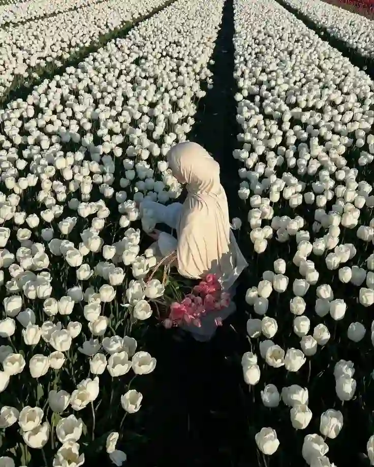 হিজাবী মেয়েদের প্রোফাইল পিকচার