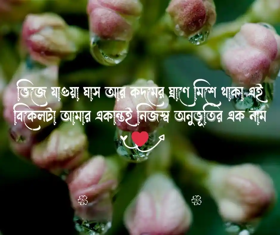 বৃষ্টির ছবি - গ্রামের বৃষ্টির ছবি