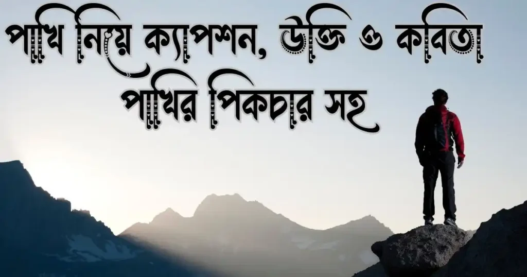 পাখি নিয়ে ক্যাপশন, উক্তি ও কবিতা পাখির পিকচার সহ