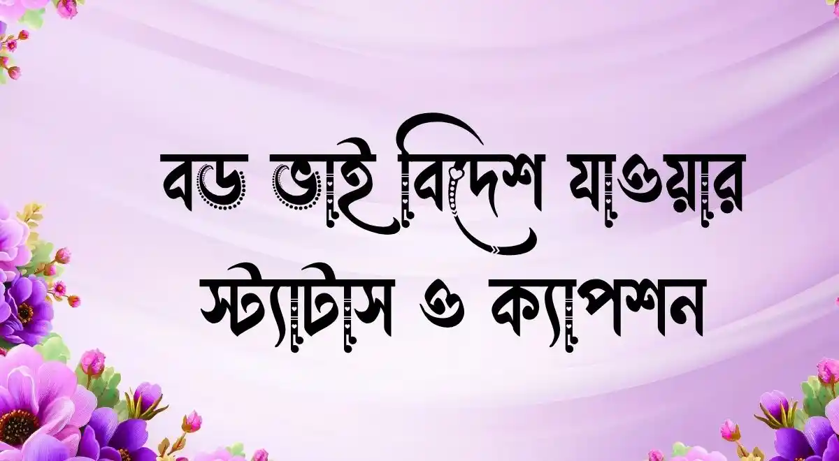বড় ভাই বিদেশ যাওয়ার স্ট্যাটাস ও ক্যাপশন