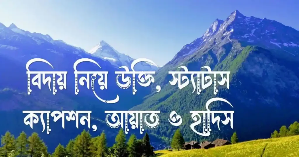 বিদায় নিয়ে উক্তি, স্ট্যাটাস, ক্যাপশন, আয়াত ও হাদিস