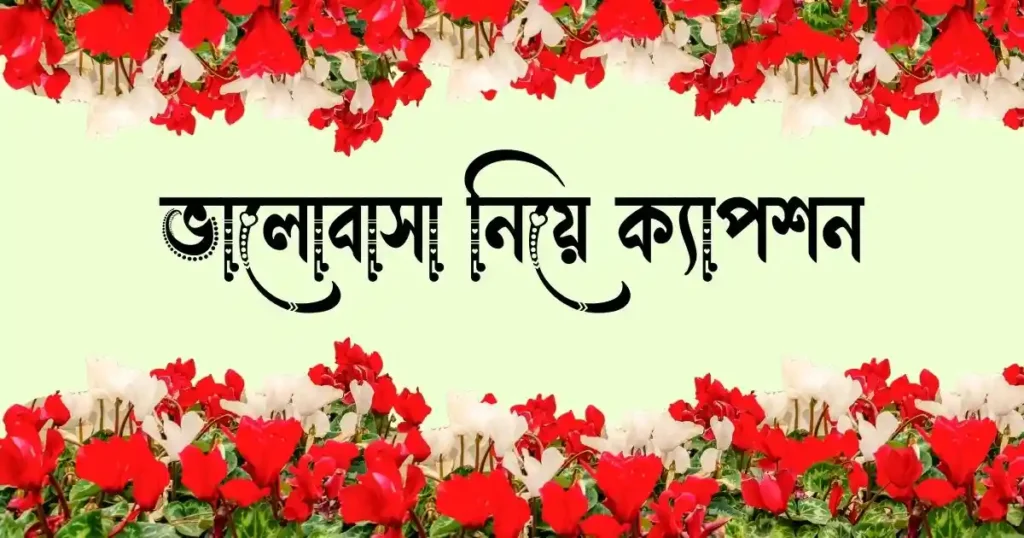 ভালোবাসা নিয়ে ক্যাপশন - ভালোবাসার স্ট্যাটাস