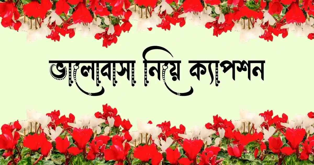 ভালোবাসা নিয়ে ক্যাপশন - ভালোবাসার স্ট্যাটাস