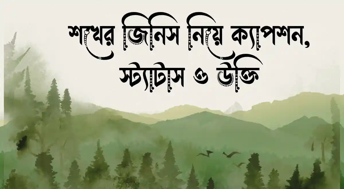 শখের জিনিস নিয়ে ক্যাপশন, স্ট্যাটাস ও উক্তি