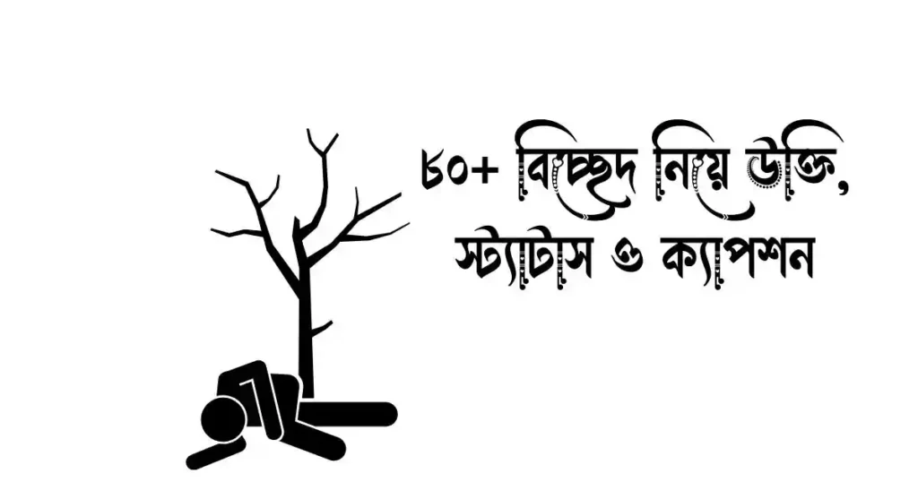৮০+ বিচ্ছেদ নিয়ে উক্তি, স্ট্যাটাস ও ক্যাপশন