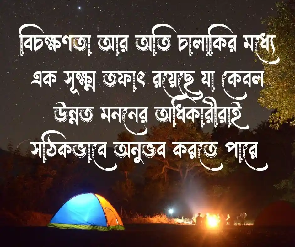 অতি চালাক নিয়ে উক্তি